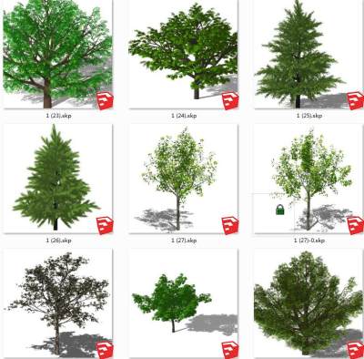 树sketchup草图模型下载su草图模型下载