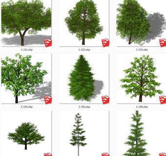 树sketchup草图模型下载su草图模型下载