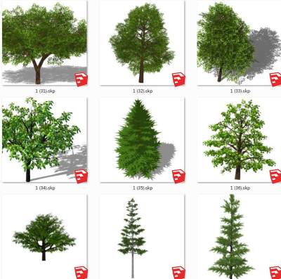 树sketchup草图模型下载su草图模型下载