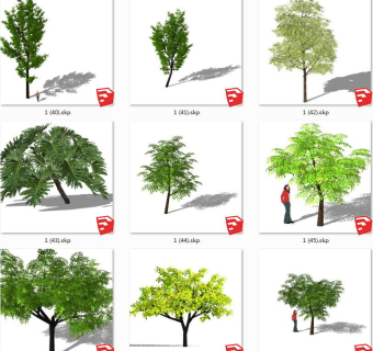 树sketchup草图模型下载su草图模型下载