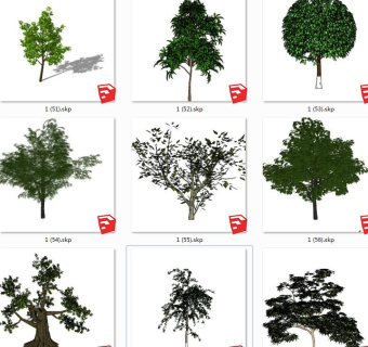 树sketchup草图模型下载su草图模型下载
