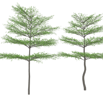 树sketchup草图模型下载su草图模型下载