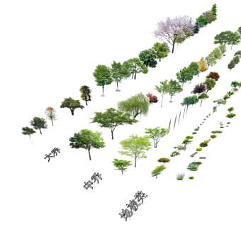 树sketchup草图模型下载su草图模型下载