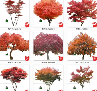 树sketchup草图模型下载su草图模型下载