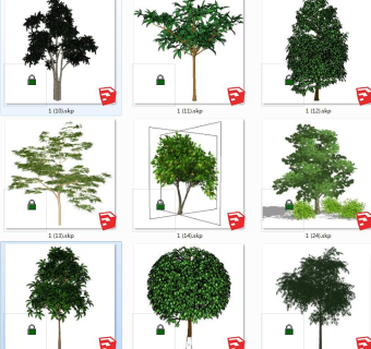 树sketchup草图模型下载su草图模型下载