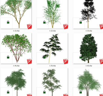 树sketchup草图模型下载su草图模型下载