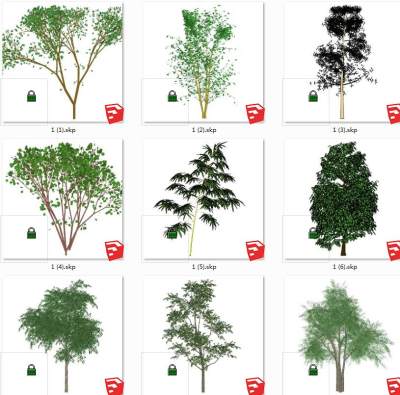 树sketchup草图模型下载su草图模型下载