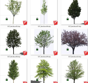 树sketchup草图模型下载su草图模型下载