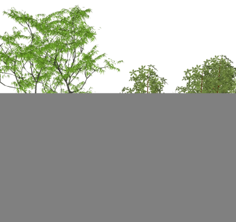 树sketchup草图模型下载su草图模型下载