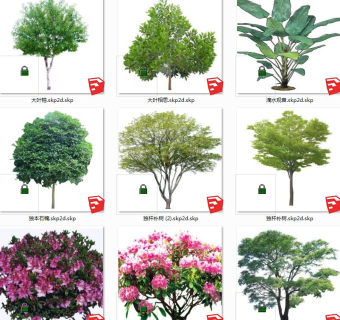 树sketchup草图模型下载su草图模型下载