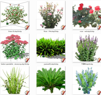 树sketchup草图模型下载su草图模型下载