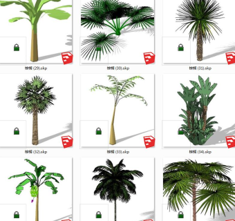 树sketchup草图模型下载 su草图模型下载