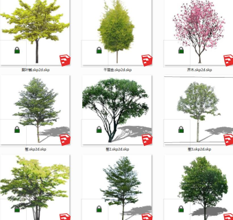 树sketchup草图模型下载 su草图模型下载