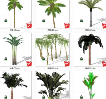 树sketchup草图模型下载 su草图模型下载
