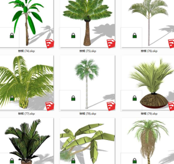 树sketchup草图模型下载 su草图模型下载