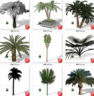 树sketchup草图模型下载 su草图模型下载