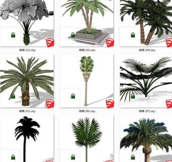 树sketchup草图模型下载 su草图模型下载