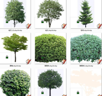 树sketchup草图模型下载 su草图模型下载