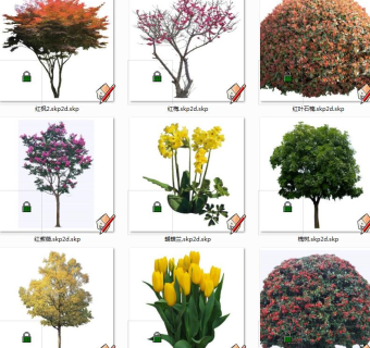 树sketchup草图模型下载 su草图模型下载