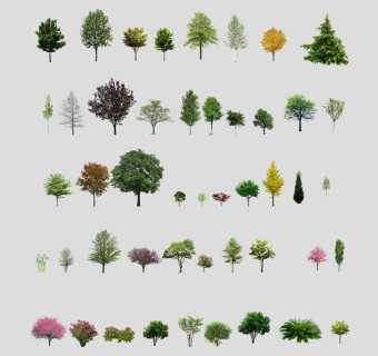 树sketchup草图模型下载su草图模型下载