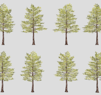 树sketchup草图模型下载 su草图模型下载