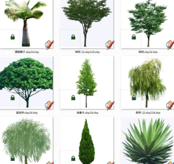 植物树su草图模型下载