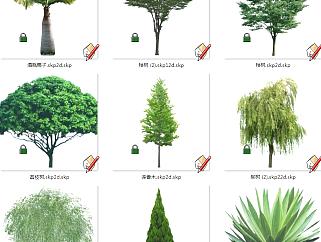 植物树su草图模型下载