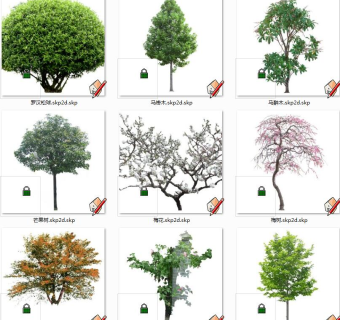 植物树su草图模型下载
