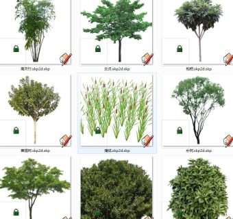 植物树su草图模型下载