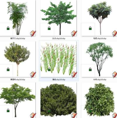 植物树su草图模型下载