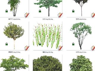 植物树su草图模型下载