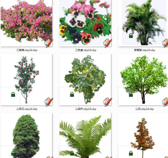 植物树su草图模型下载