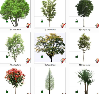 植物树 su草图模型下载