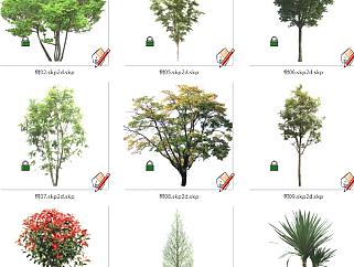 植物树 su草图模型下载