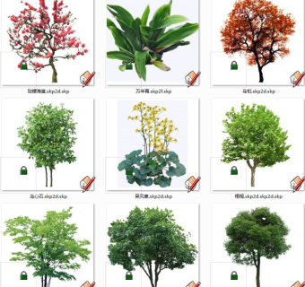 植物树su草图模型下载