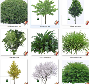 植物树su草图模型下载