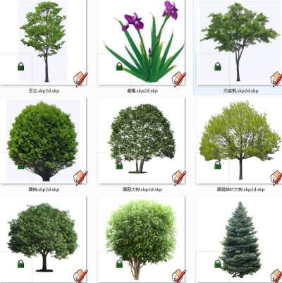 植物树su草图模型下载