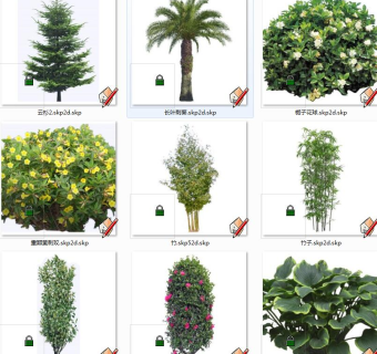 户外树木植物 su草图模型下载