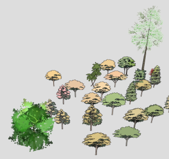 户外树木植物  su草图模型下载