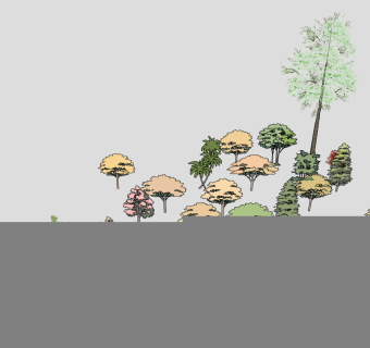 户外树木植物  su草图模型下载