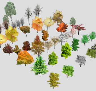 户外树木植物 su草图模型下载