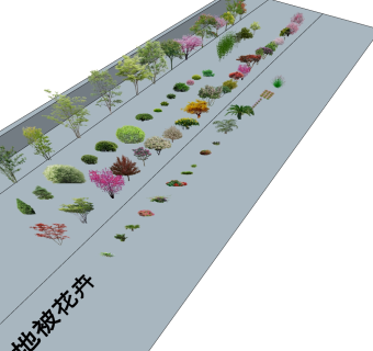 常用植物素材su草图模型下载