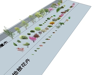 常用植物素材su草图模型下载