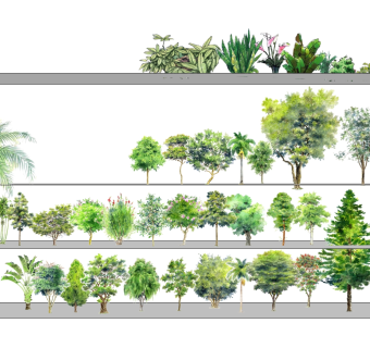 室外景观植物 su草图模型下载