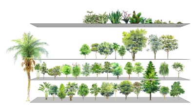 室外景观植物 su草图模型下载