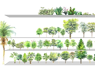 室外景观植物 su草图模型下载