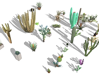 室外<em>景观植物</em> su草图模型下载