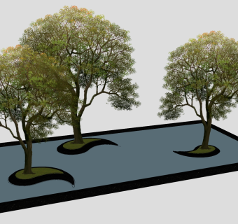 室外景观植物  su草图模型下载