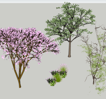 现代真实植物  su草图模型下载
