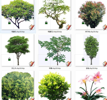 现代真实植物 su草图模型下载